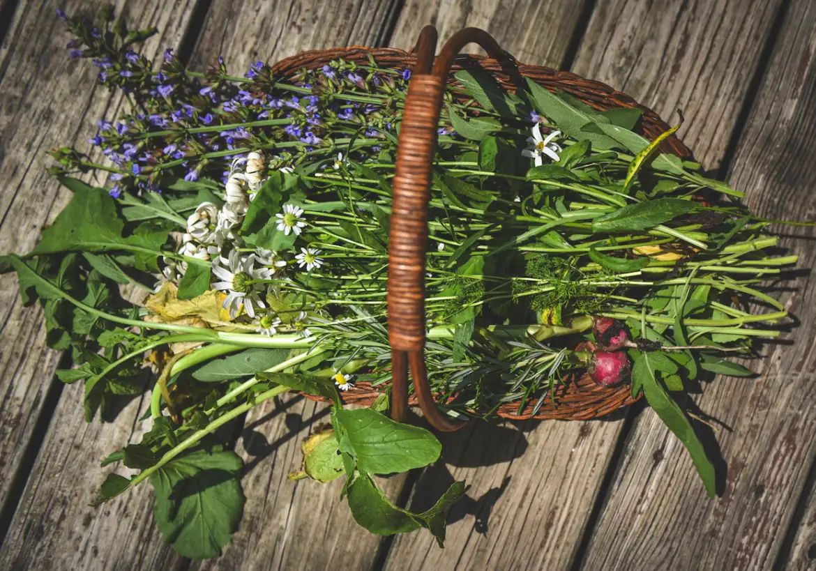 A woven basket of freshly harvested herbs and flowers