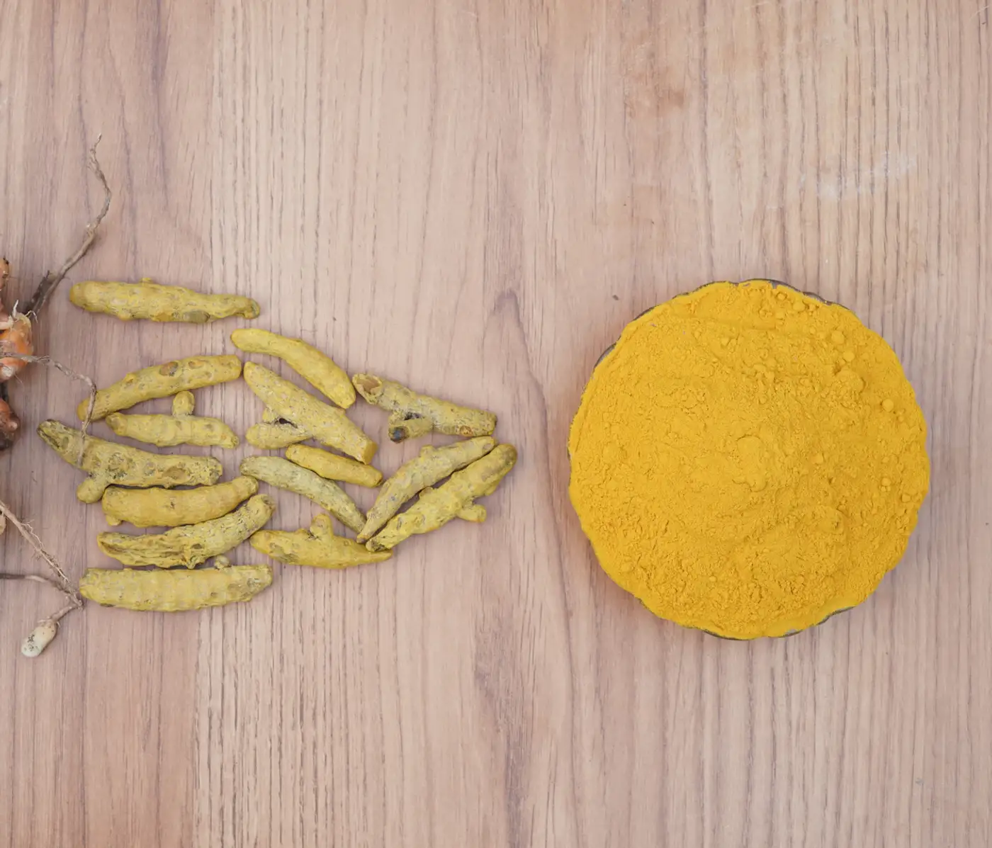 Turmeric root, dried turmeric and turmeric powder on a wooden table